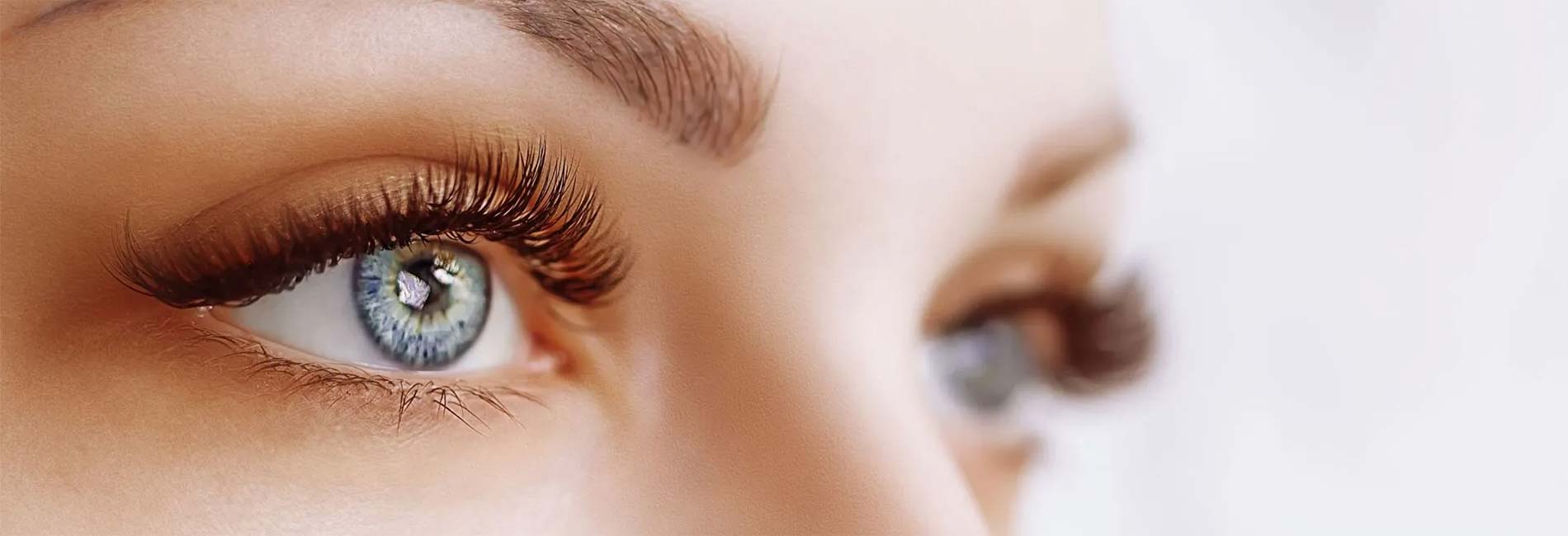 Eyebrows